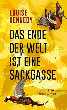 E-Book (epub) Das Ende der Welt ist eine Sackgasse von Louise Kennedy