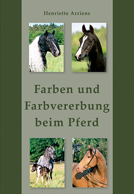 Farben und Farbvererbung beim Pferd