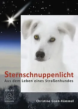 E-Book (epub) Sternschnuppenlicht von Christine Goeb-Kümmel