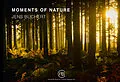 E-Book (epub) MOMENTS OF NATURE von Jens Buchert