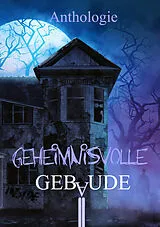 Kartonierter Einband (Kt) Geheimnisvolle Gebäude von Oliver Borchers, Anke Schlachter, Andreas Dörr