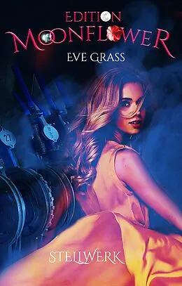 E-Book (epub) Stellwerk von Eve Grass