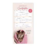 Kalender Familienplaner 2027 Samtpfoten von 