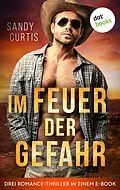 E-Book (epub) Im Feuer der Gefahr von Sandy Curtis
