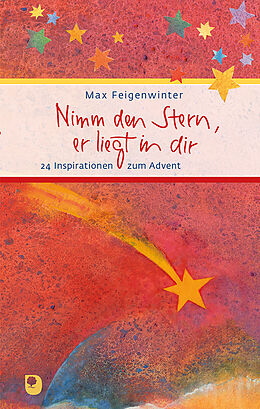 Fester Einband Nimm den Stern, er liegt in dir von Max Feigenwinter