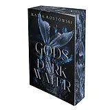 Kartonierter Einband Gods of Dark Water von Katja Rostowski