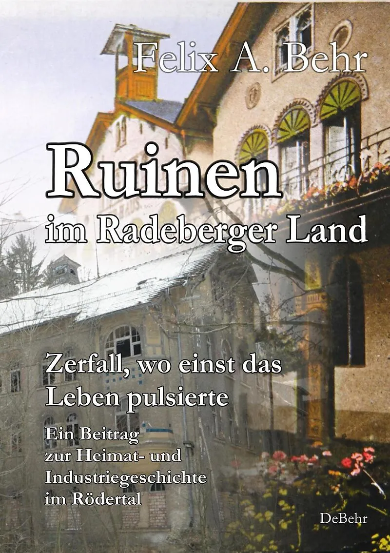 Ruinen im Radeberger Land  Zerfall, wo einst das Leben pulsierte - Ein Beitrag zur Heimat- und Industriegeschichte im Rödertal