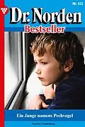 E-Book (epub) Ein Junge namens Pechvogel von Patricia Vandenberg
