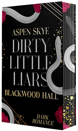 Kartonierter Einband Dirty Little Liars von Aspen Skye