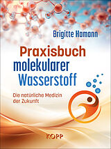 Fester Einband Praxisbuch molekularer Wasserstoff von Brigitte Hamann