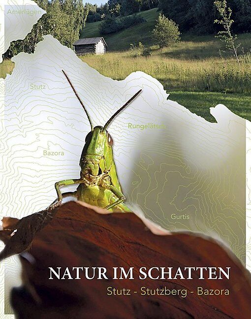 Natur im Schatten