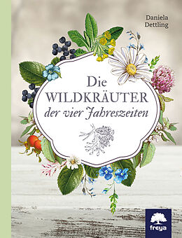Fester Einband Die Wildkräuter der vier Jahreszeiten von Daniela Dettling
