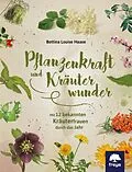 E-Book (epub) Pflanzenkraft und Kräuterwunder von Bettina Louise Haase