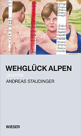 Fester Einband Wehglück Alpen von Andreas Staudinger