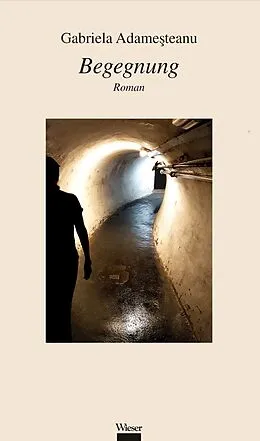 E-Book (epub) Begegnung von Gabriela Adameteanu