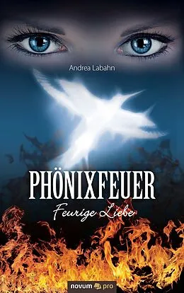E-Book (epub) Phönixfeuer von Andrea Labahn