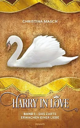 E-Book (epub) Harry in love von Christina Masch