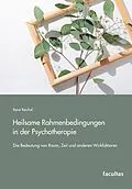 E-Book (pdf) Heilsame Rahmenbedingungen in der Psychotherapie von René Reichel