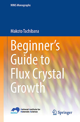 Kartonierter Einband Beginner's Guide to Flux Crystal Growth von Makoto Tachibana