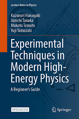 Kartonierter Einband Experimental Techniques in Modern High-Energy Physics von Kazunori Hanagaki, Yuji Yamazaki, Makoto Tomoto