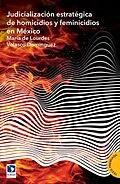 E-Book (epub) Judicialización estratégica de homicidios y feminicidios en México von Maria de Lourdes Velasco Dominguez