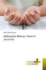 Kartonierter Einband (Kt) Reflexiones Bíblicas, Tomo VI von Ariel G Batista Osorio