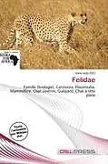 Kartonierter Einband Felidae von 