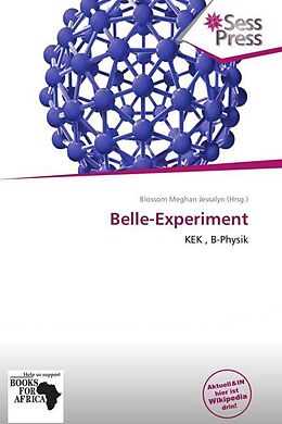 Kartonierter Einband Belle-Experiment von 