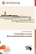 Kartonierter Einband Caloptilia aurora von 