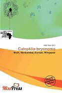 Kartonierter Einband Caloptilia bryonoma von 