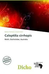 Kartonierter Einband (Kt) Caloptilia cirrhopis von