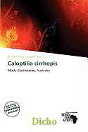 Kartonierter Einband Caloptilia cirrhopis von 