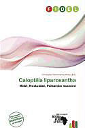 Kartonierter Einband Caloptilia liparoxantha von 