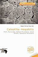 Kartonierter Einband Caloptilia megalotis von 