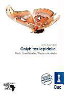 Kartonierter Einband Calybites lepidella von 