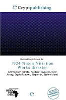 Kartonierter Einband 1924 Nixon Nitration Works disaster von 