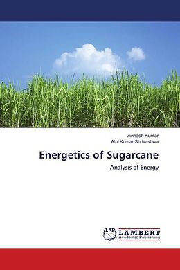Kartonierter Einband Energetics of Sugarcane von Avinash Kumar, Atul Kumar Shrivastava