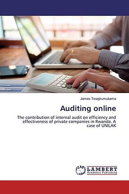 Kartonierter Einband Auditing online von James Twagirumukama