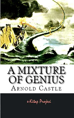 E-Book (epub) A Mixture of Genius von Arnold Castle