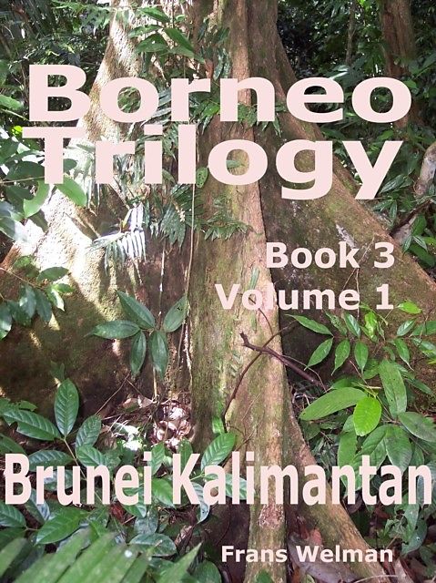 Borneo Trilogy Brunei: Book 3 Volume 1