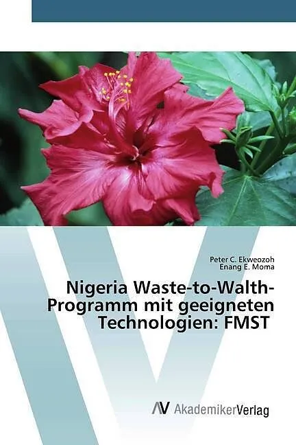 Nigeria Waste-to-Walth-Programm mit geeigneten Technologien: FMST