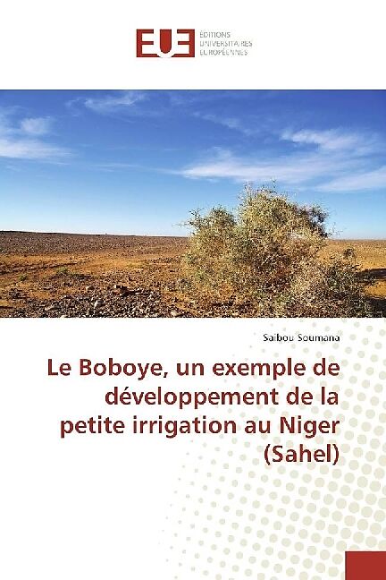 Le Boboye, un exemple de développement de la petite irrigation au Niger (Sahel)
