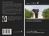 Kartonierter Einband África en sus meandros von Arsène Ondo-Eyeghe, Marie-Immaculée Mbazogho-Ondo