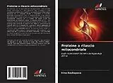 Kartonierter Einband (Kt) Proteine a rilascio mitocondriale von Irina Kashapova