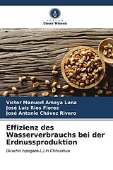Kartonierter Einband Effizienz des Wasserverbrauchs bei der Erdnussproduktion von Víctor Manuerl Amaya Lona, José Luis Ríos Flores, José Antonio Chávez Rivero