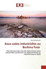 Kartonierter Einband (Kt) Eaux usées industrielles au Burkina Faso von Barthélemy Bawar