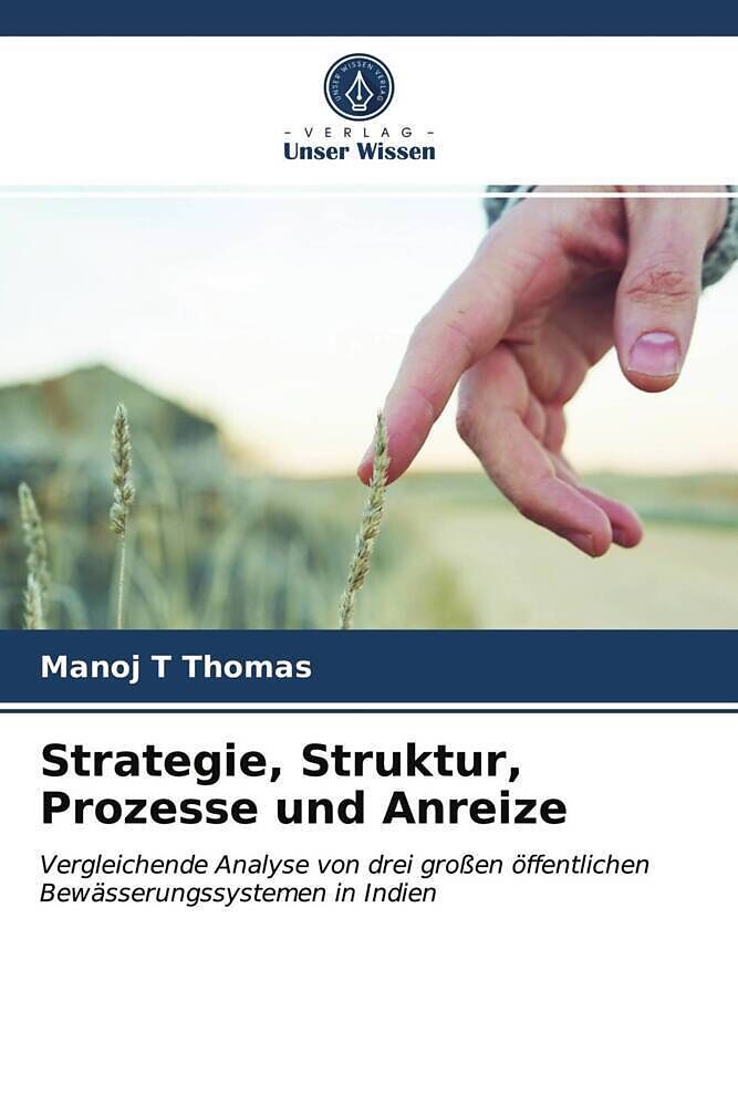 Strategie, Struktur, Prozesse und Anreize
