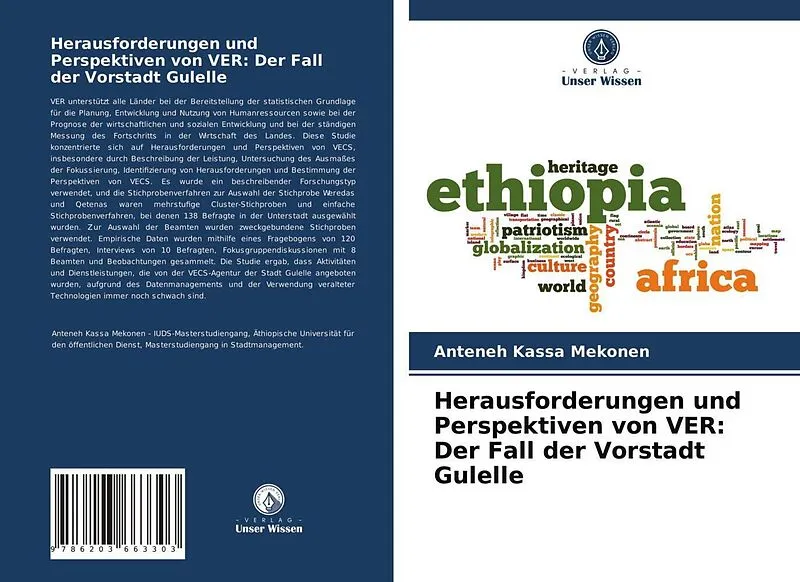 Herausforderungen und Perspektiven von VER: Der Fall der Vorstadt Gulelle