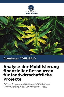 Kartonierter Einband Analyse der Mobilisierung finanzieller Ressourcen für landwirtschaftliche Projekte von Aboubacar Coulibaly