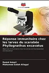 Kartonierter Einband (Kt) Réponse immunitaire chez les larves du scarabée Phyllognathus excavatus von Ramzi Amari, Mohamed Salah Allagui